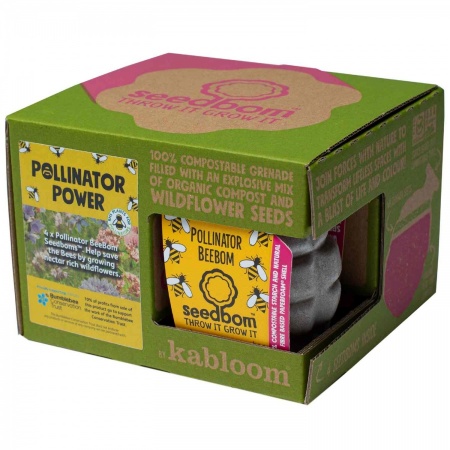 Kabloom Pollinator Power Seedbom Gift Set - 4 Pack